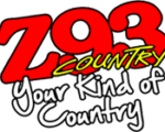 z93-150x120-1