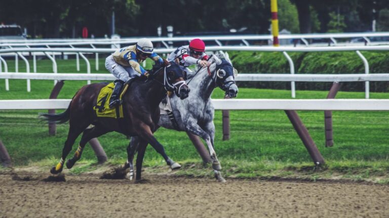 Horse-Racing