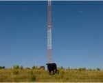 tower-150x120-1